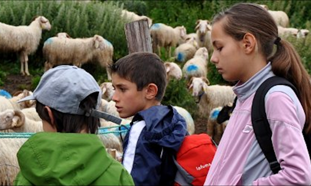 Randonnées et découvertes en vallée d’Aspe