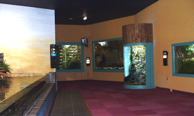 Aquarium de Lourdes