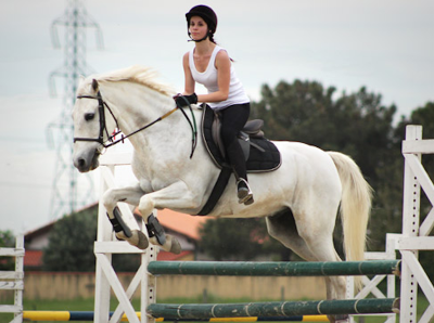 Cheval Garonne