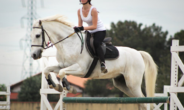 Cheval Garonne