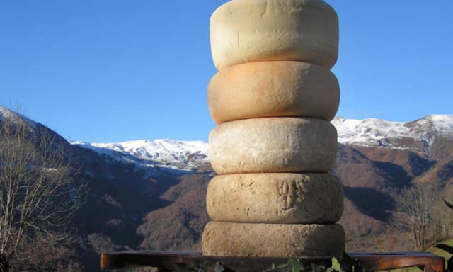 Les fromages d’un producteur en montagne