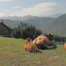 Gîte de montagne le Pelioou en Ariège