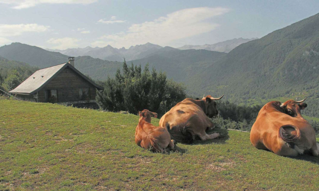 Gîte de montagne le Pelioou en Ariège