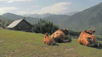 Gîte de montagne le Pelioou en Ariège